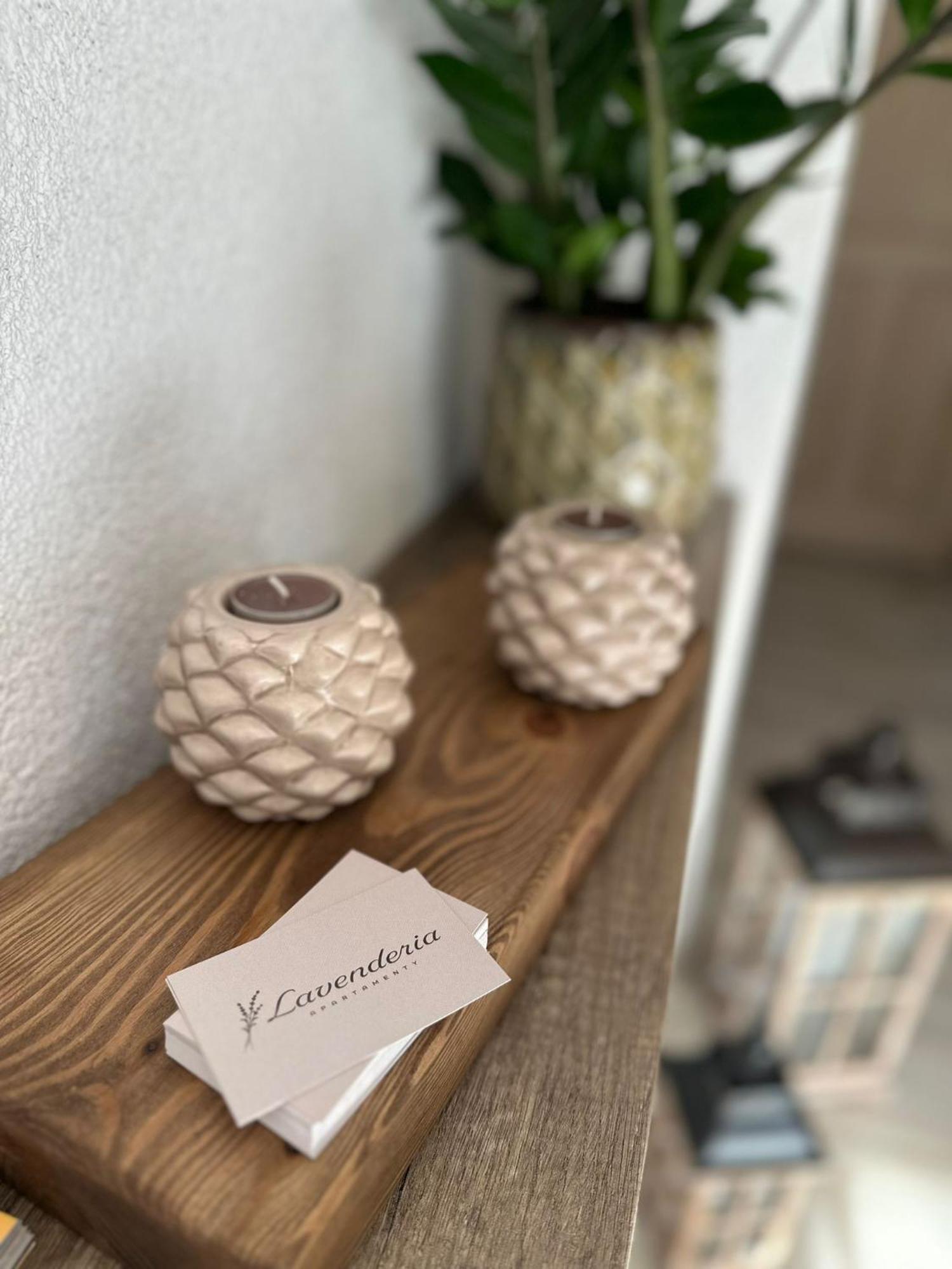 Apartamenty Lavenderia Z Widokiem Na Gore Parkowa, Blisko Centrum Kudowa-Zdrój Exterior foto